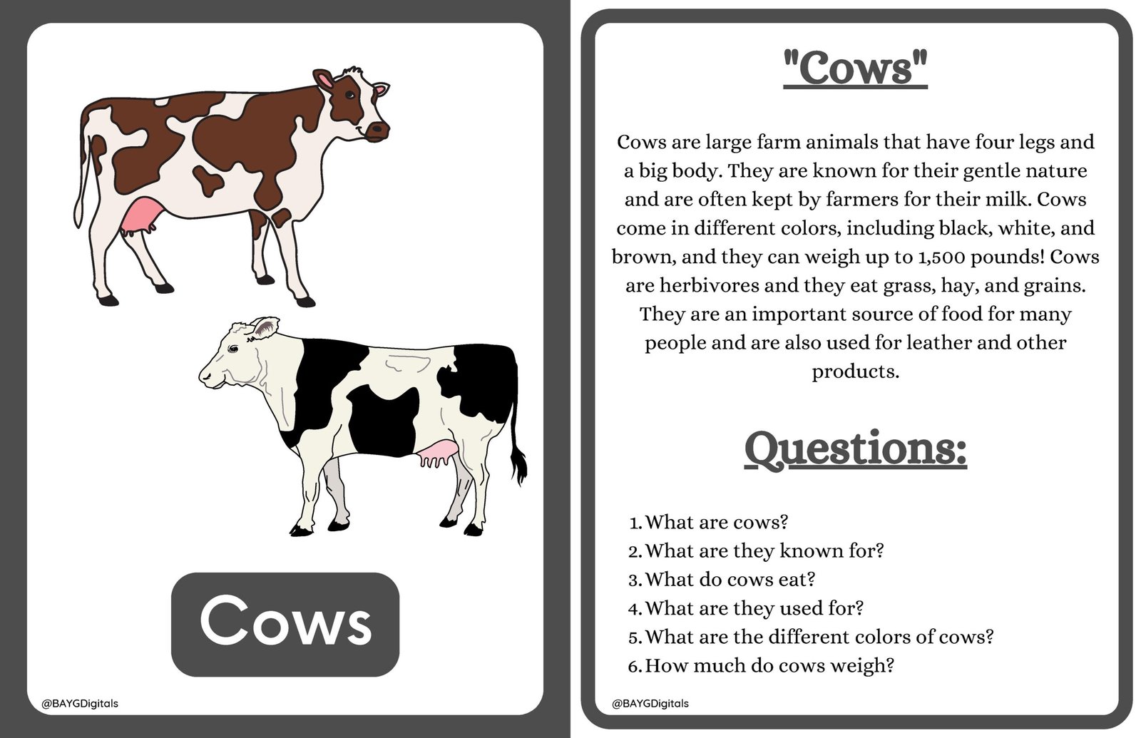 reading worksheets vol5